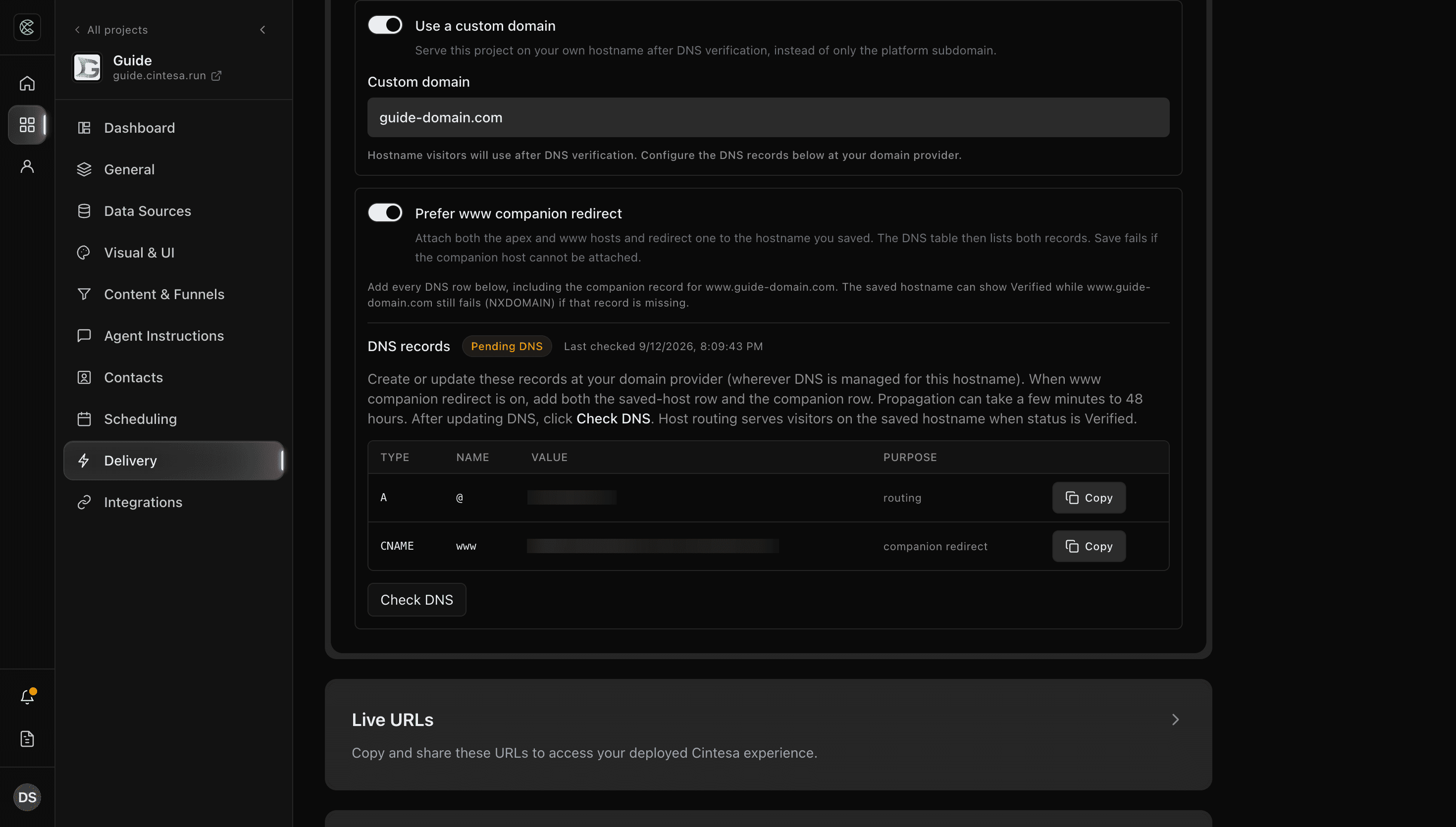 Custom domain settings on Delivery